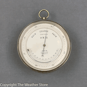 Antique 19th C. Barometer Thermometer by Adie, London.