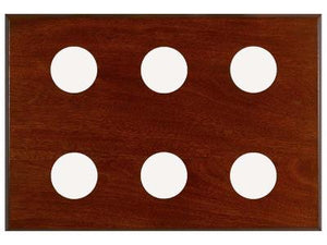 Six Instrument Board