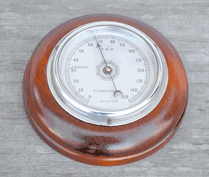 Vintage English Thermometer