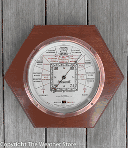 Vintage Scottish Stormoguide Barometer - J. Lizars